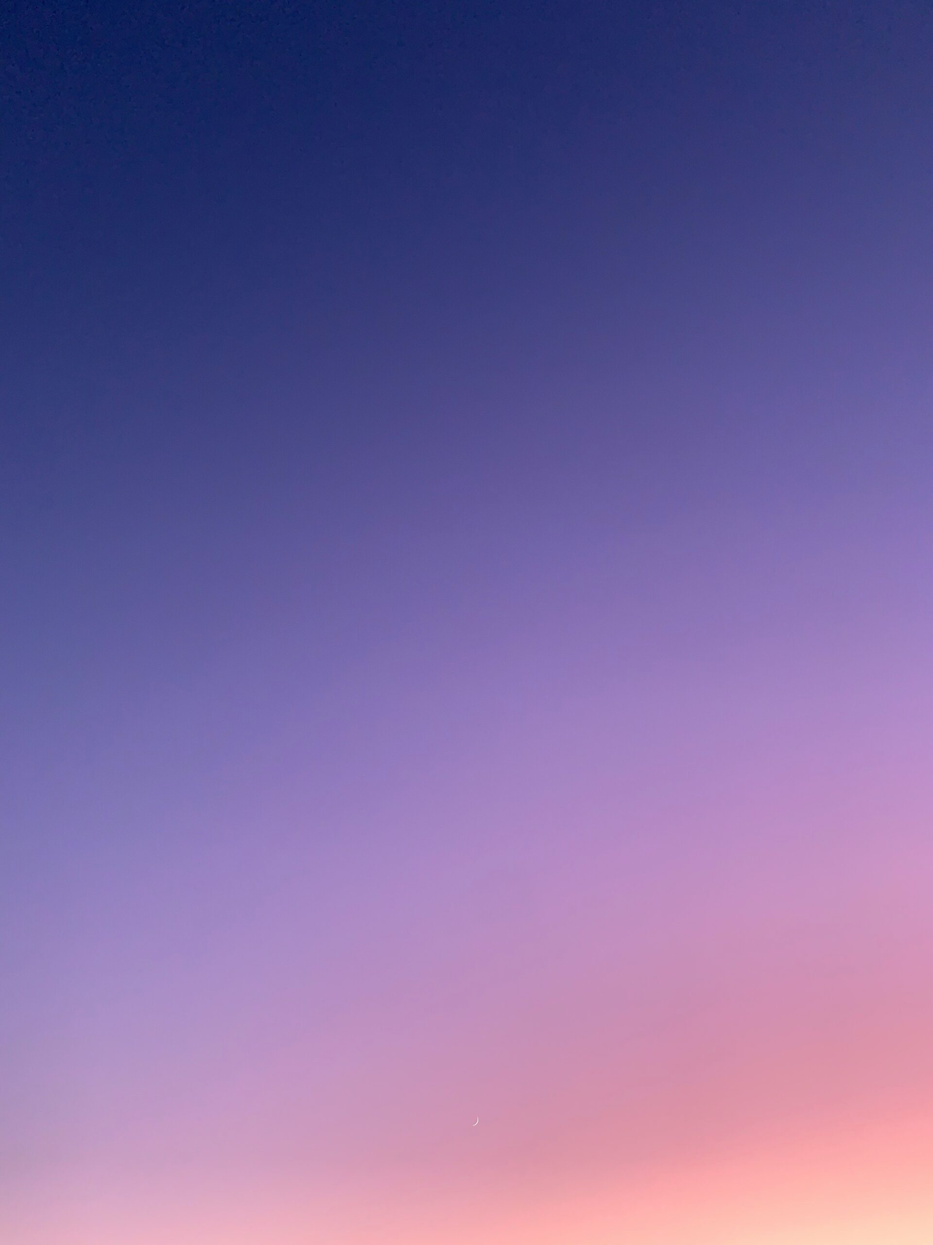 ashley-whitlatch-36aGnv29Ss0-unsplash